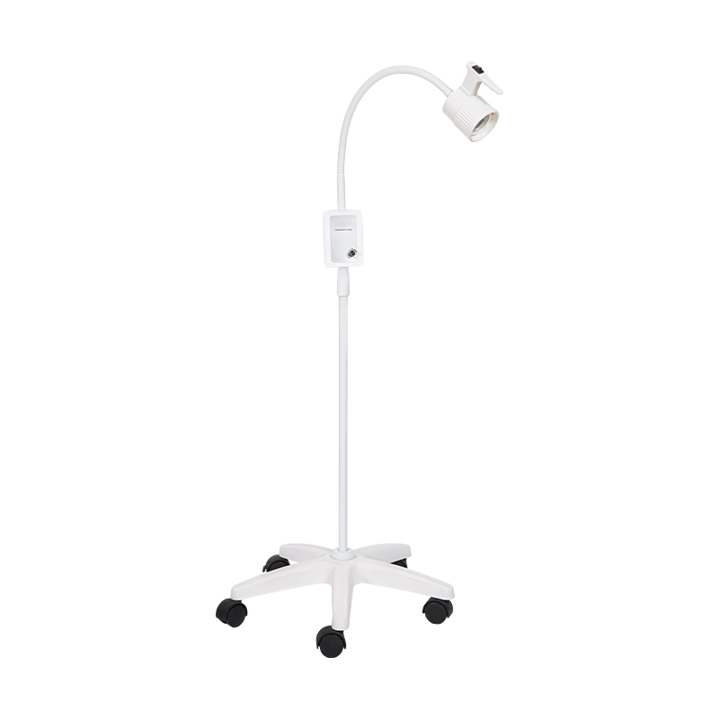 3W Built-In na Backup na Baterya LED Gooseneck Examination Lamp