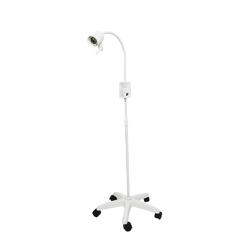 3W Built-In na Backup na Baterya LED Gooseneck Examination Lamp