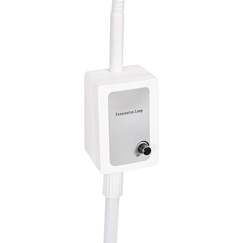 3W Built-In na Backup na Baterya LED Gooseneck Examination Lamp